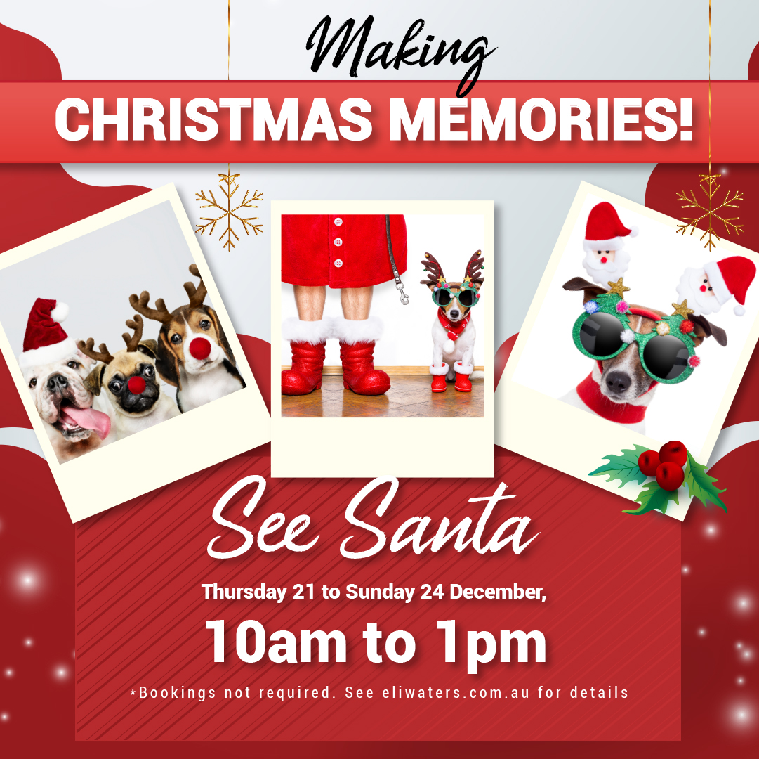 Create Christmas Memories at Eli Waters Shopping Centre!